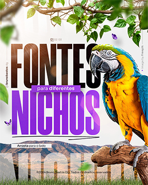 PSDs-capas-de-carrosseis_Fontes-para-diversos-nichos_01-1.jpg